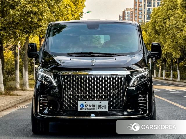 Ford Touruiou 2025 Черный из Китая, фото 3