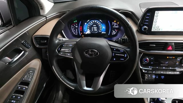 Hyundai Santa Fe TM 2019 Цвет тростника из Кореи, фото 3
