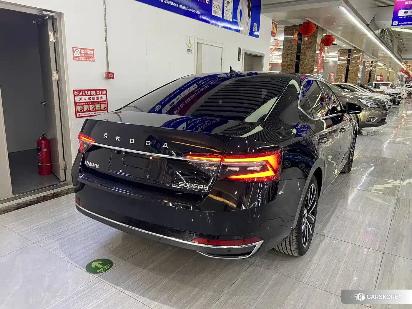 Skoda Speed pie 2023 Черный из Китая, фото 3