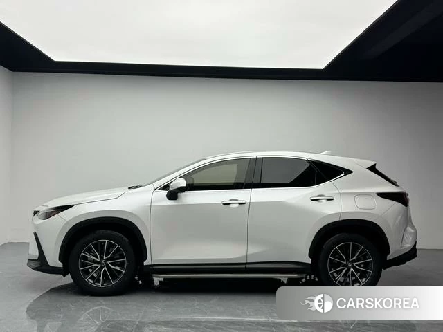 Lexus NX 2023 Белый из Китая, фото 3