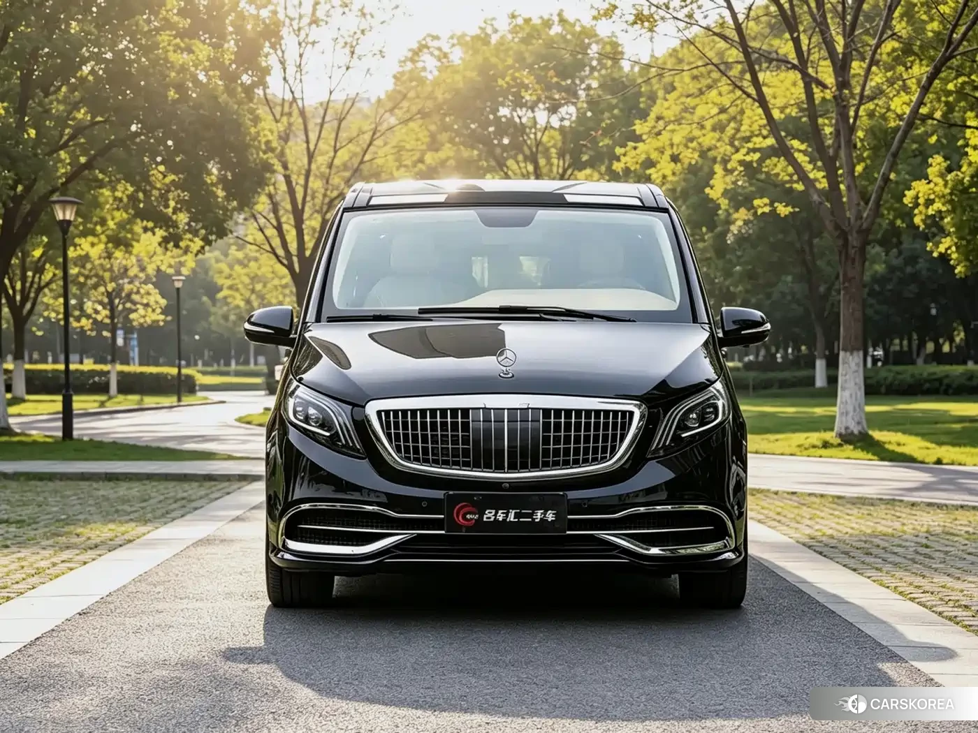 Mercedes-Benz Vito 2022 Черный из Китая, фото 3