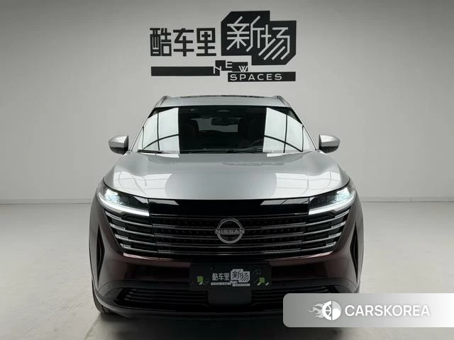 Nissan Exploring the land 2024 Белый из Китая, фото 3