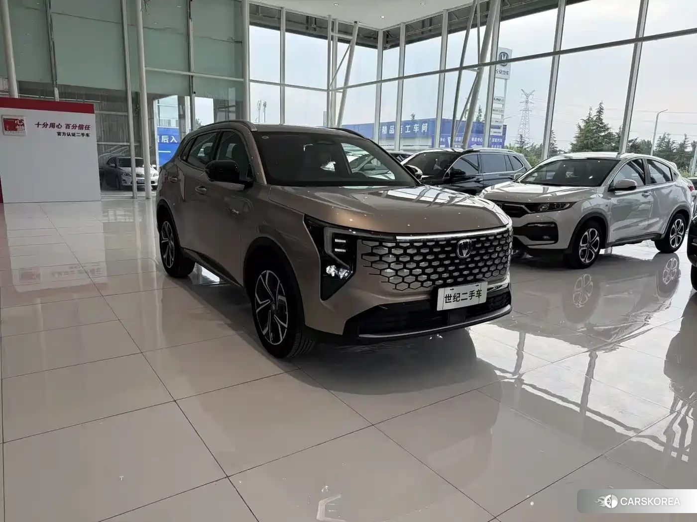 Chang'an Changan CS55PLUS 2025 Champagne/brown из Китая, фото 3