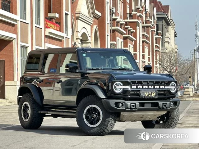 Ford Lie Ma 2025 Черный из Китая, фото 3