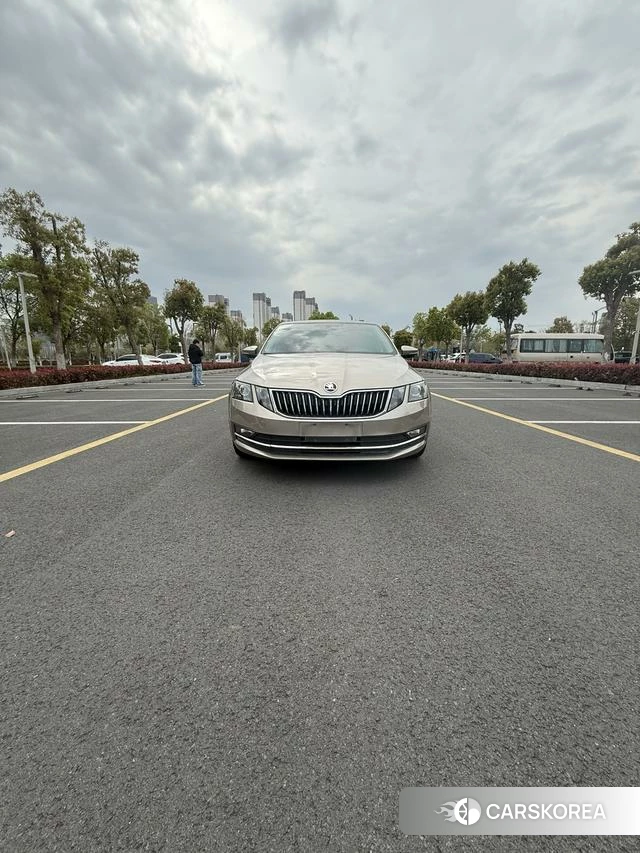 Skoda Octavia 2020 Шампань из Китая, фото 3