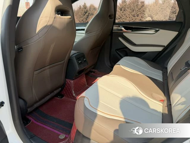 BYD Qin PLUS DM 2024 Белый из Китая, фото 3