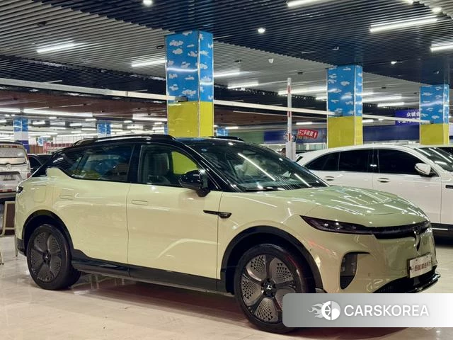 Lan Tu Soulmate 2024 Зеленый из Китая, фото 3