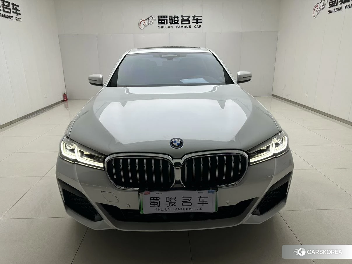 BMW 5 series PHEV 2021 Белый из Китая, фото 3