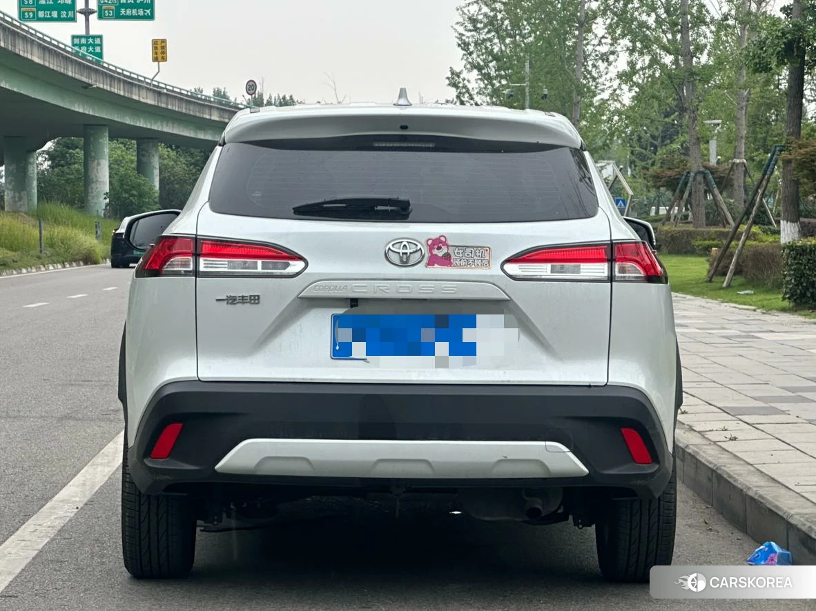 Toyota Corolla Sharp amplifier 2023 Белый из Китая, фото 3