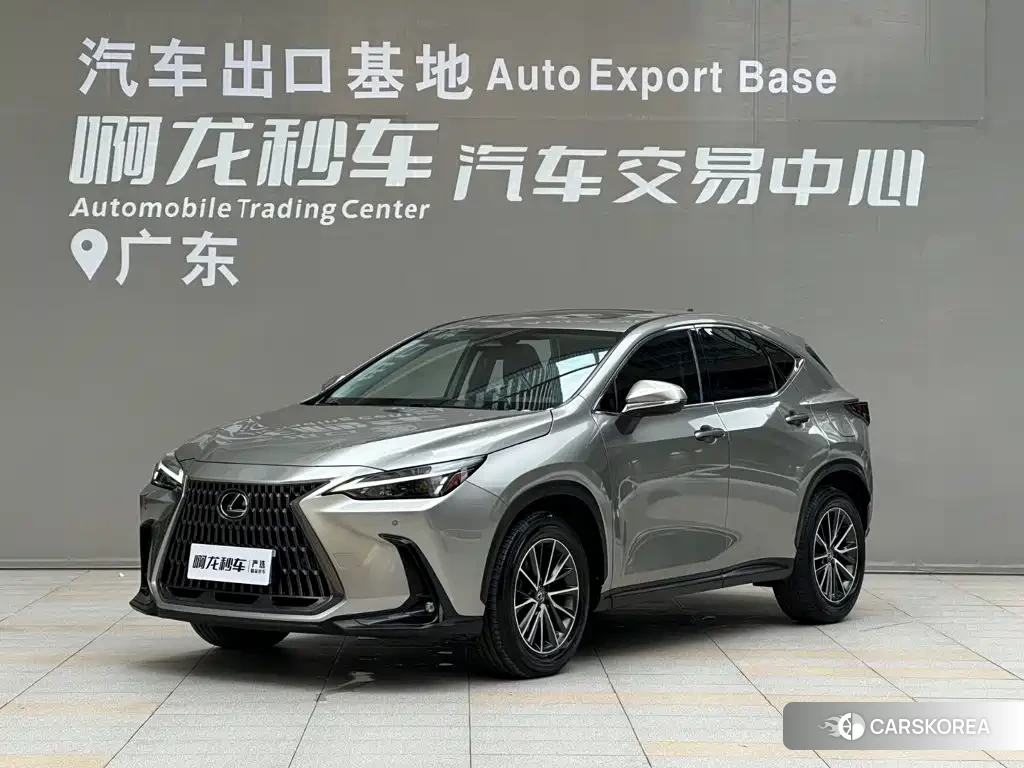 Lexus NX 2022 Silver/gray из Китая, фото 3
