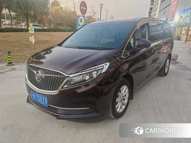 Buick GL8 2019 Коричневый из Китая, фото 3