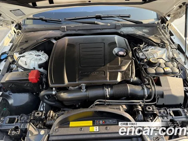 Jaguar XF (X260) 2018 Белый из Кореи, фото 3