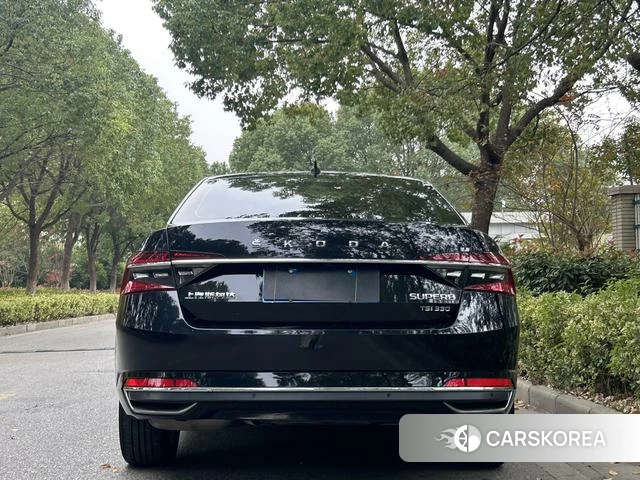 Skoda Speed pie 2020 Черный из Китая, фото 3