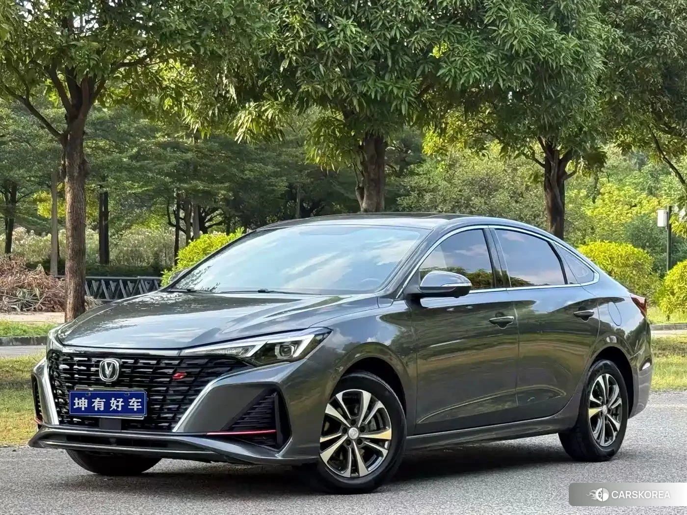 Chang'an Yidong 2022 Silver/gray из Китая, фото 3