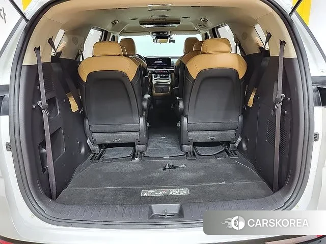 Kia Carnival 4th generation 2020 Жемчужный цвет из Кореи, фото 3