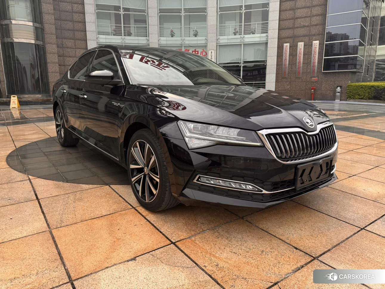 Skoda Speed pie 2023 Черный из Китая, фото 3