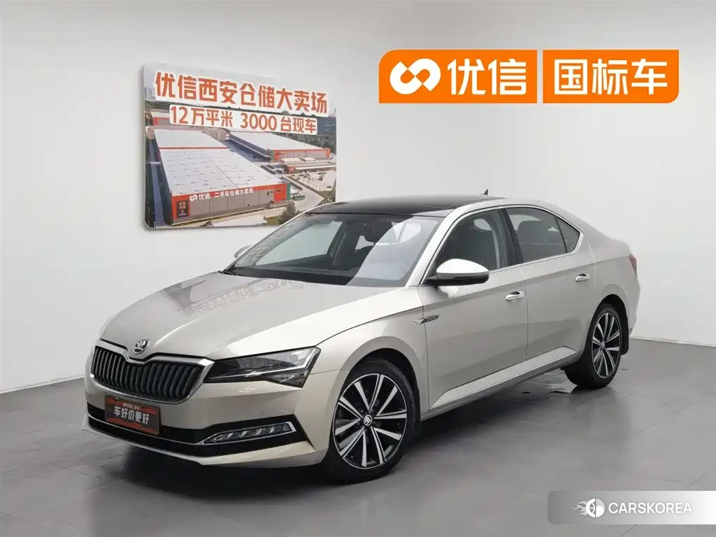 Skoda Speed pie 2022 Yellow/orange из Китая, фото 3