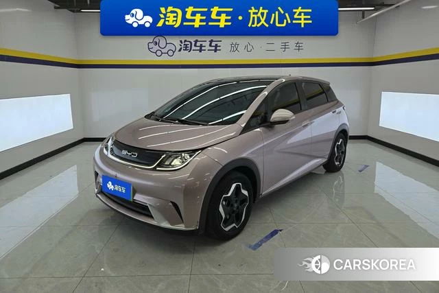 BYD dolphin 2023 Другой из Китая, фото 3