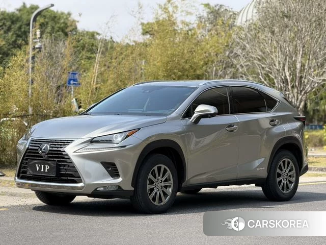 Lexus NX 2021 Темно-серый из Китая, фото 3