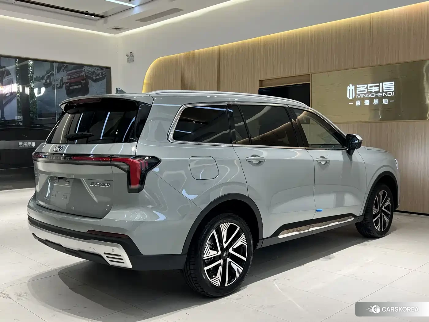Ford Lingyu New Energy 2026 Silver/gray из Китая, фото 3