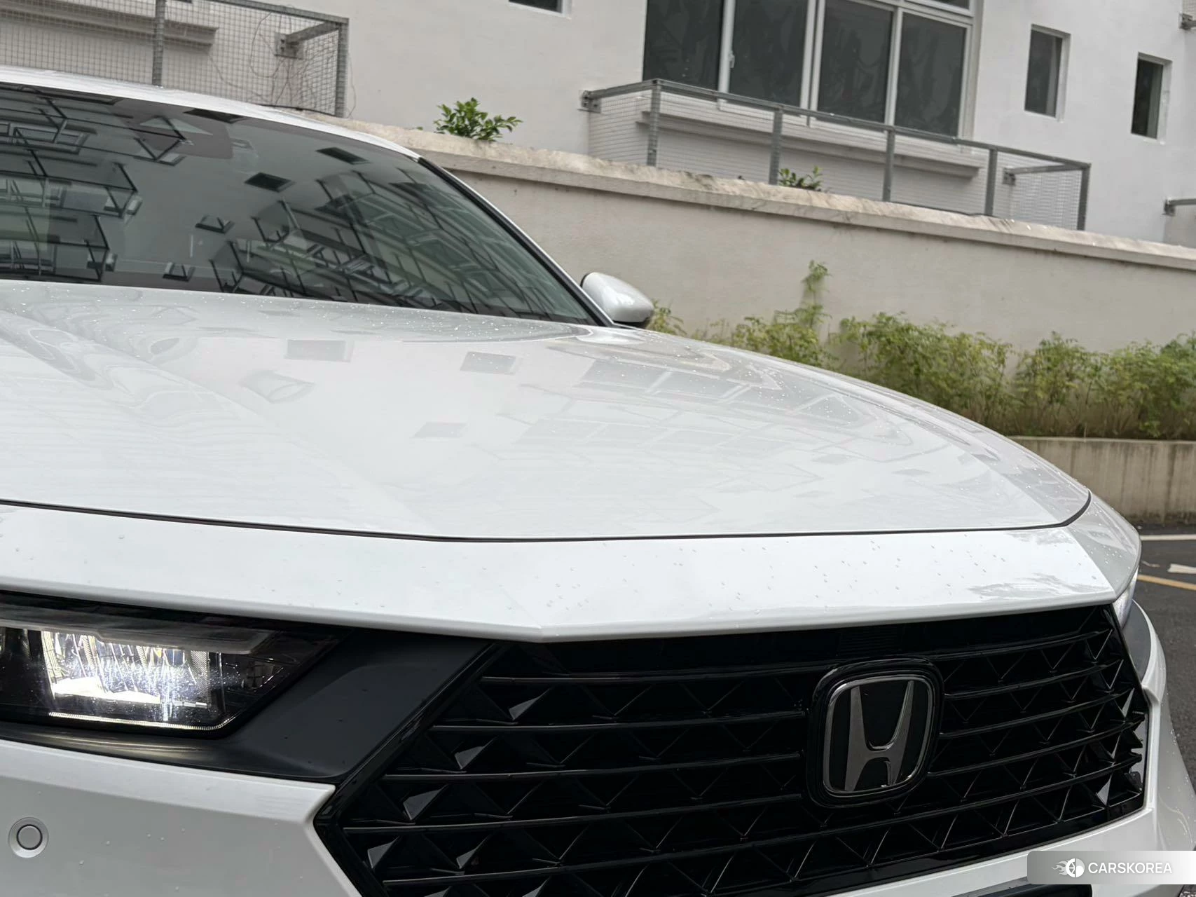 Honda Accord 2023 Белый из Китая, фото 3