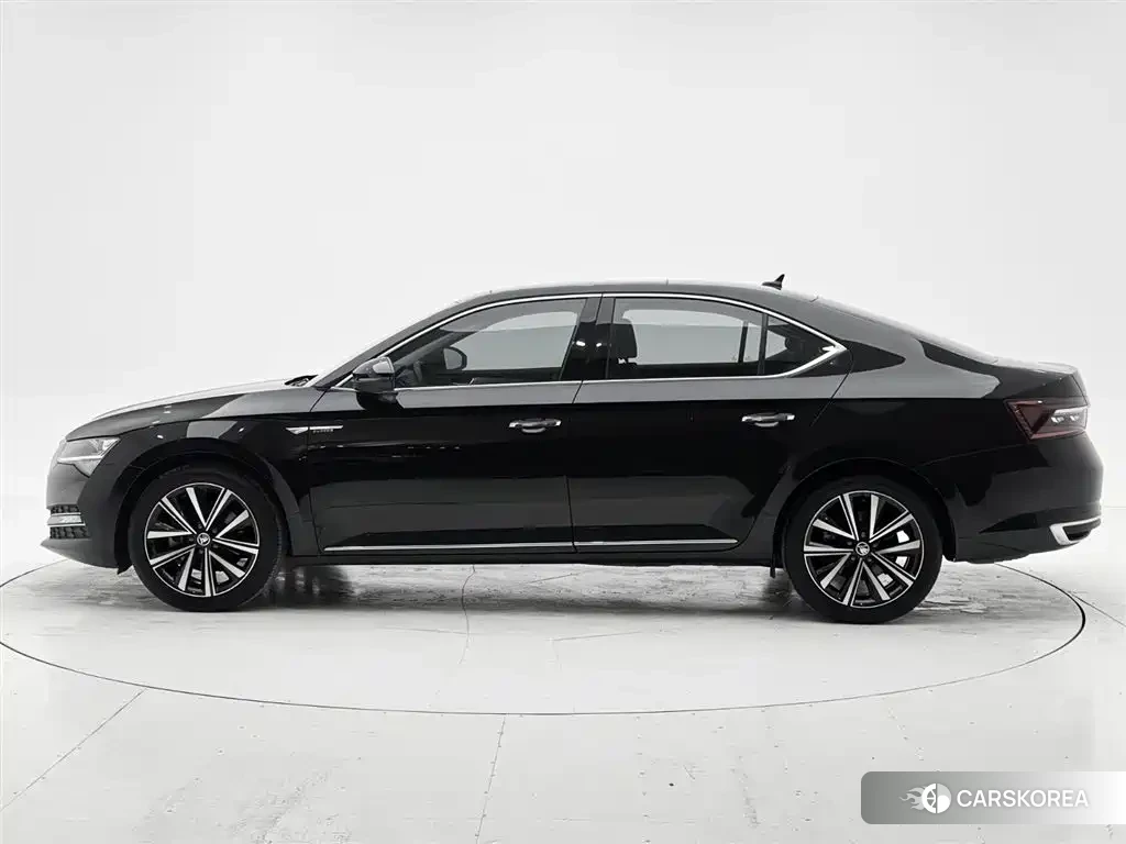 Skoda Speed pie 2023 Черный из Китая, фото 3