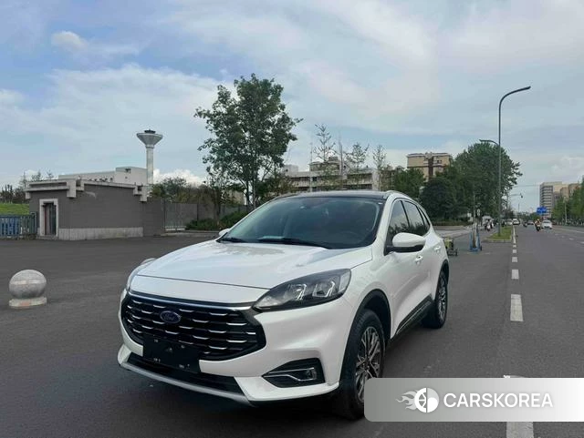 Ford Ruiji 2021 Белый из Китая, фото 3