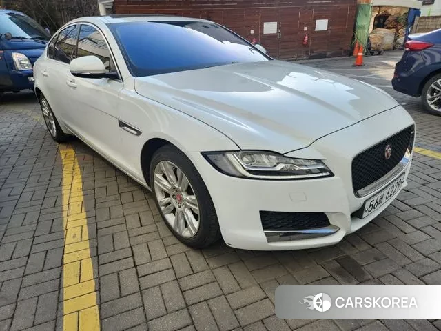 Jaguar XF (X260) 2018 Белый из Кореи, фото 3