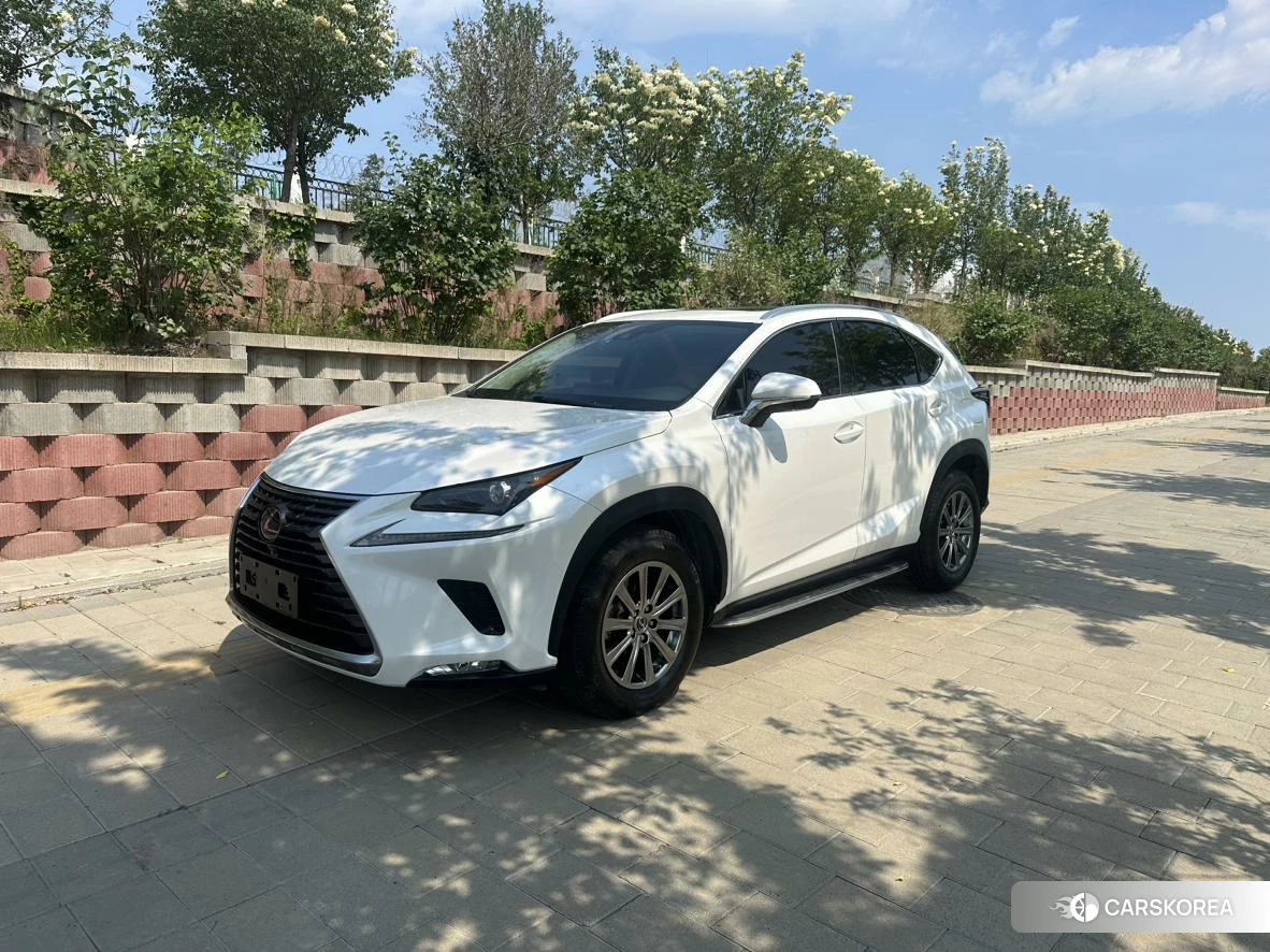 Lexus NX 2019 Белый из Китая, фото 3