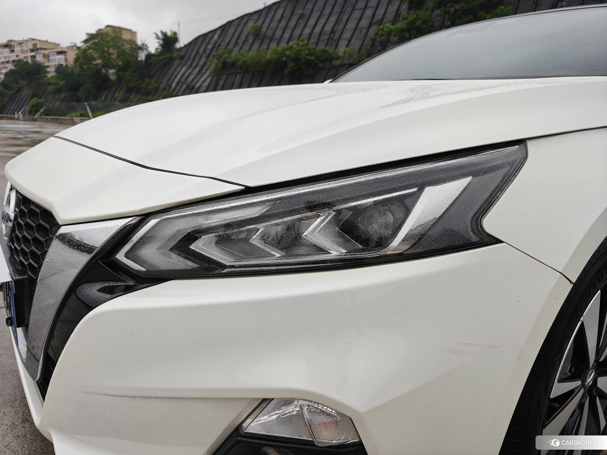 Nissan Teana 2020 Белый из Китая, фото 3