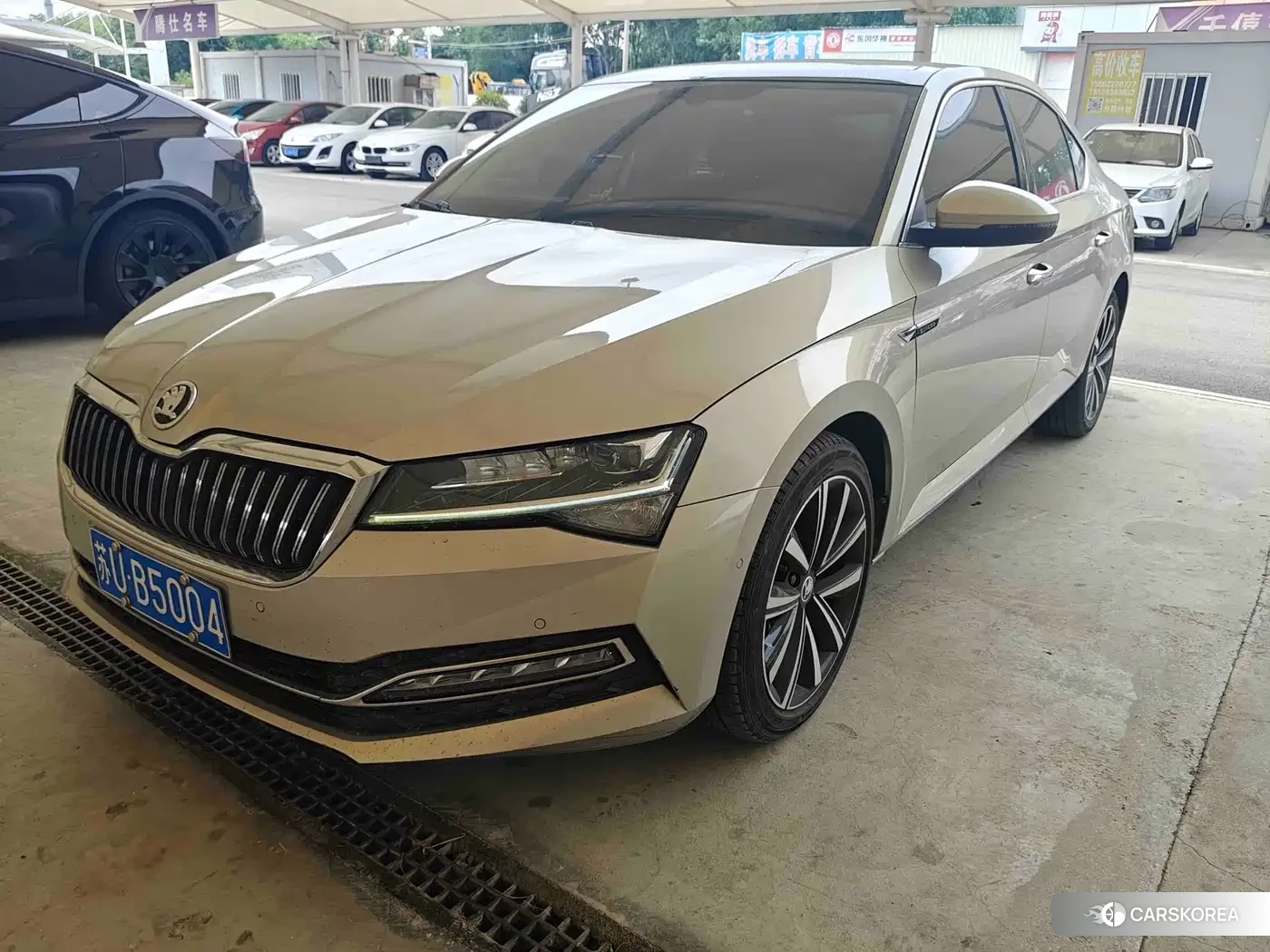 Skoda Speed pie 2021 Champagne/brown из Китая, фото 3
