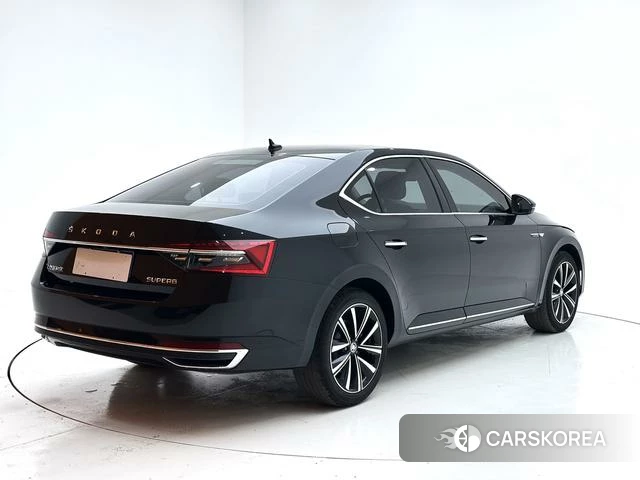 Skoda Speed pie 2023 Черный из Китая, фото 3