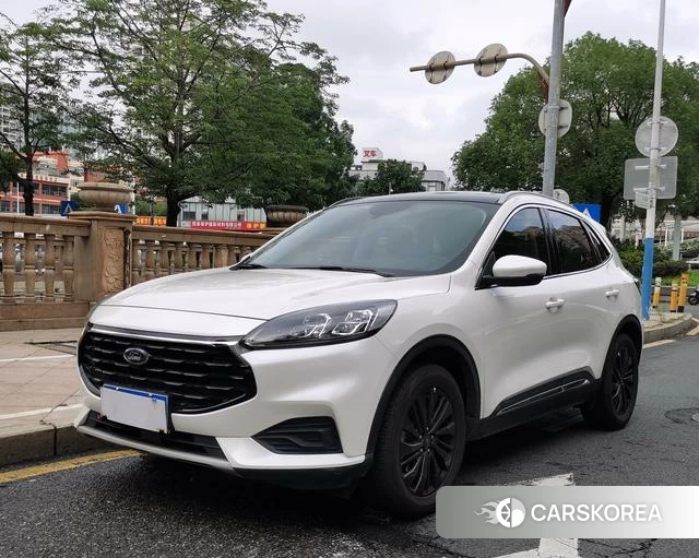 Ford Ruiji 2023 Белый из Китая, фото 3
