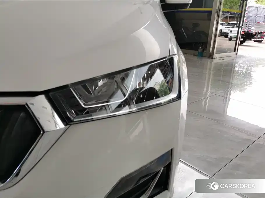 Skoda Rapid id 4589137 из Китая 3