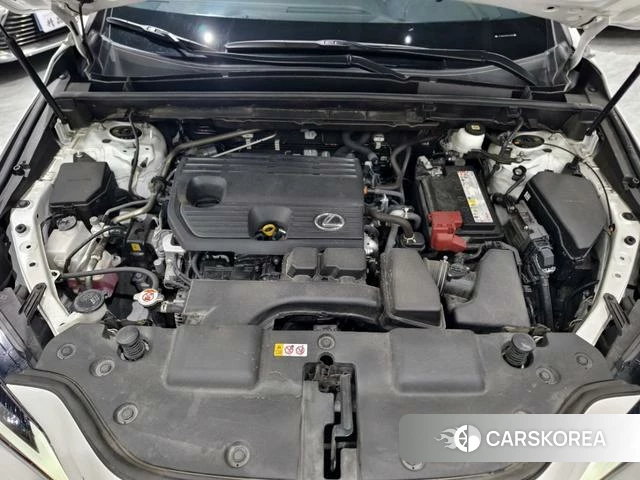 Lexus NX 2024 Белый из Китая, фото 3