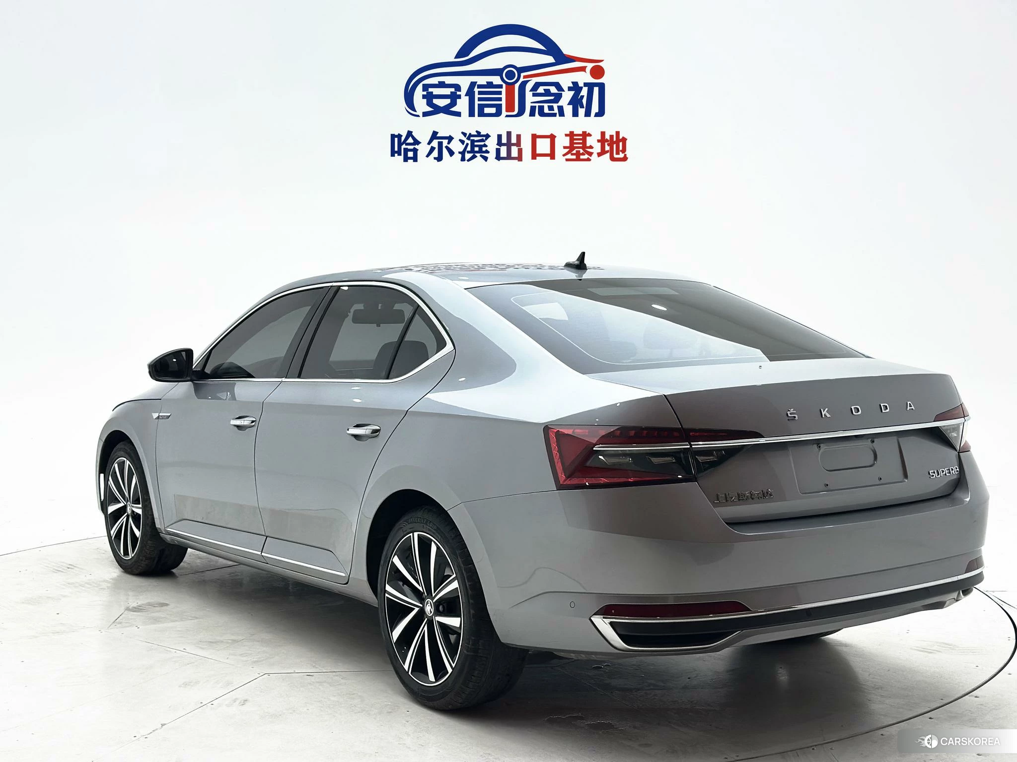Skoda Speed pie 2023 Серебристо-серый из Китая, фото 3