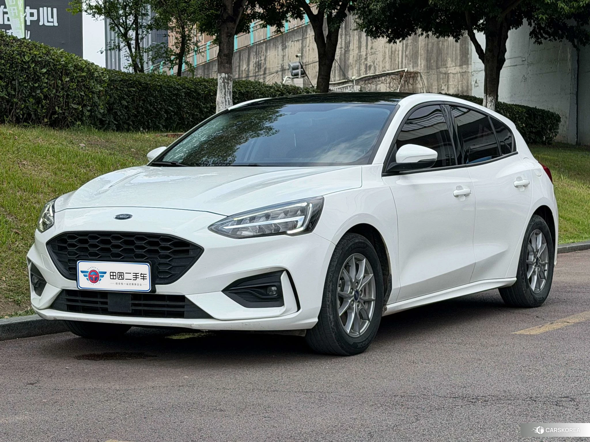 Ford Fox 2020 Белый из Китая, фото 3