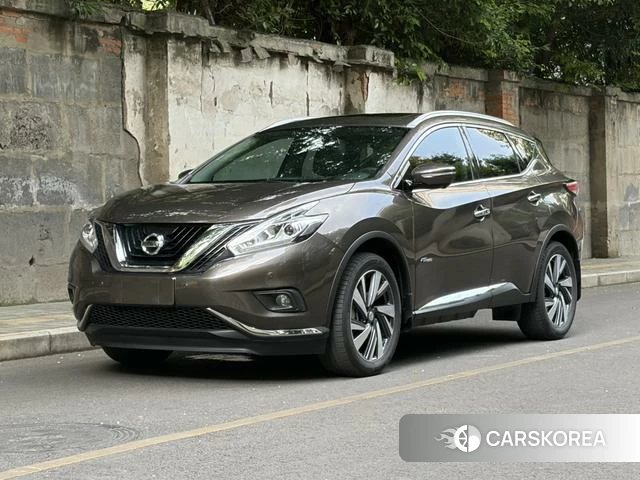 Nissan Loulan 2018 Шампань из Китая, фото 3