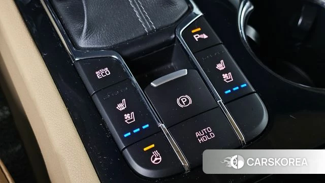 Kia The New Carnival 2018 Белый из Кореи, фото 3