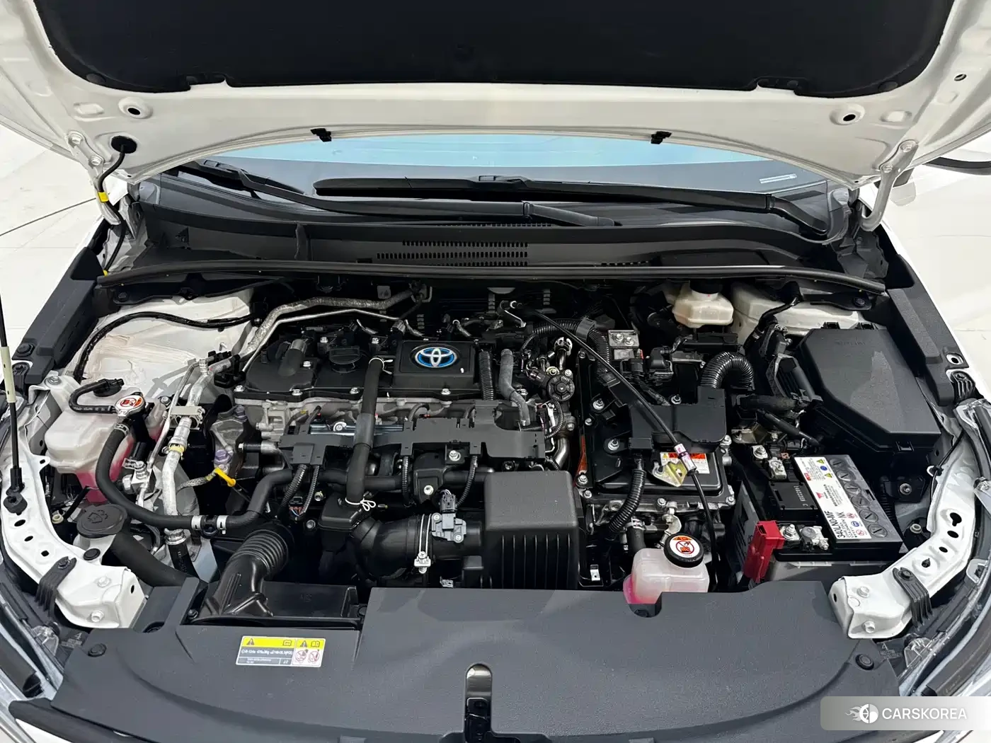 Toyota Lei Ling 2023 Белый из Китая, фото 3