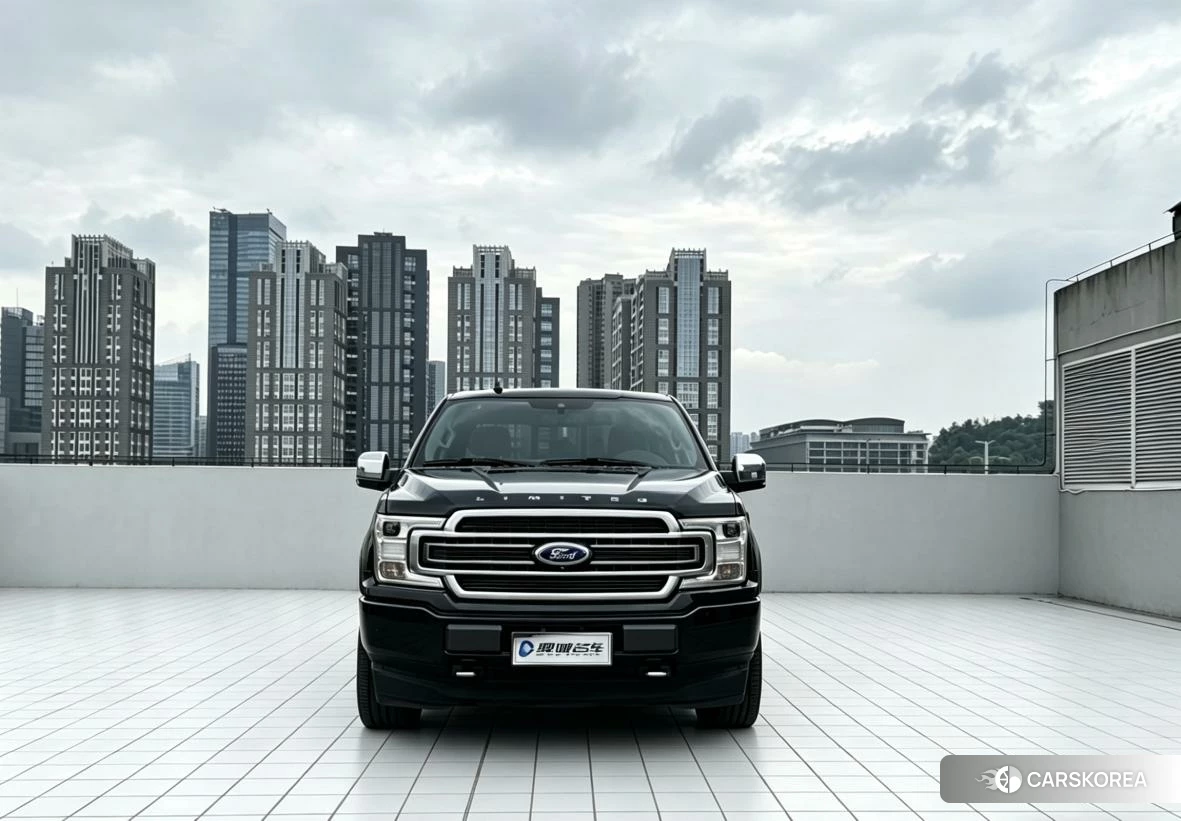 Ford F-150 2019 Черный из Китая, фото 3