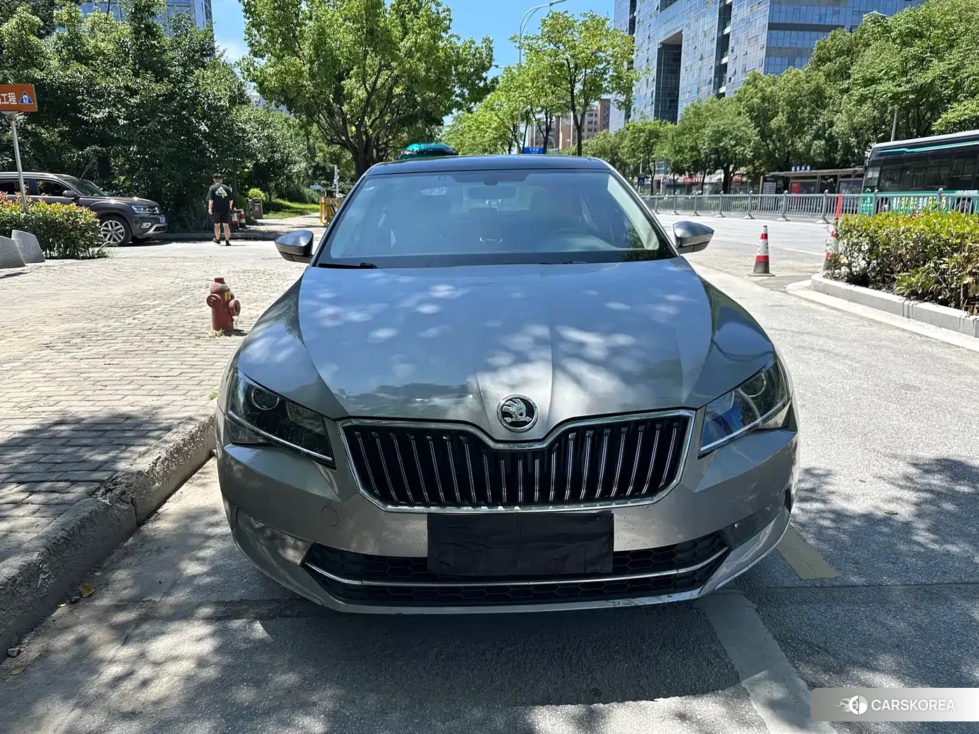Skoda Speed pie 2018 Silver/gray из Китая, фото 3