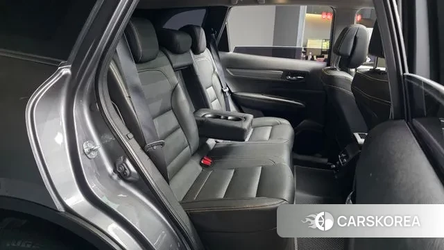 Renault Korea (Samsung) The New QM6 2020 Серый из Кореи, фото 3