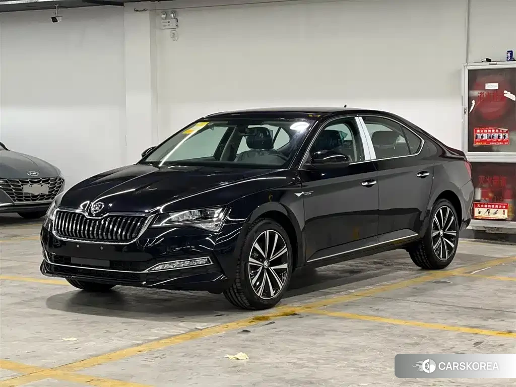 Skoda Speed pie 2025 Silver/gray из Китая, фото 3