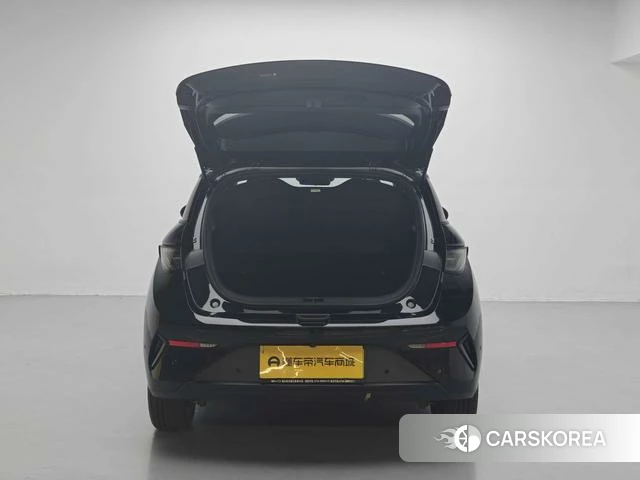 BYD dolphin 2025 Черный из Китая, фото 3