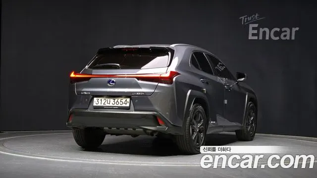 Lexus UX250h 2020 Серый из Кореи, фото 3