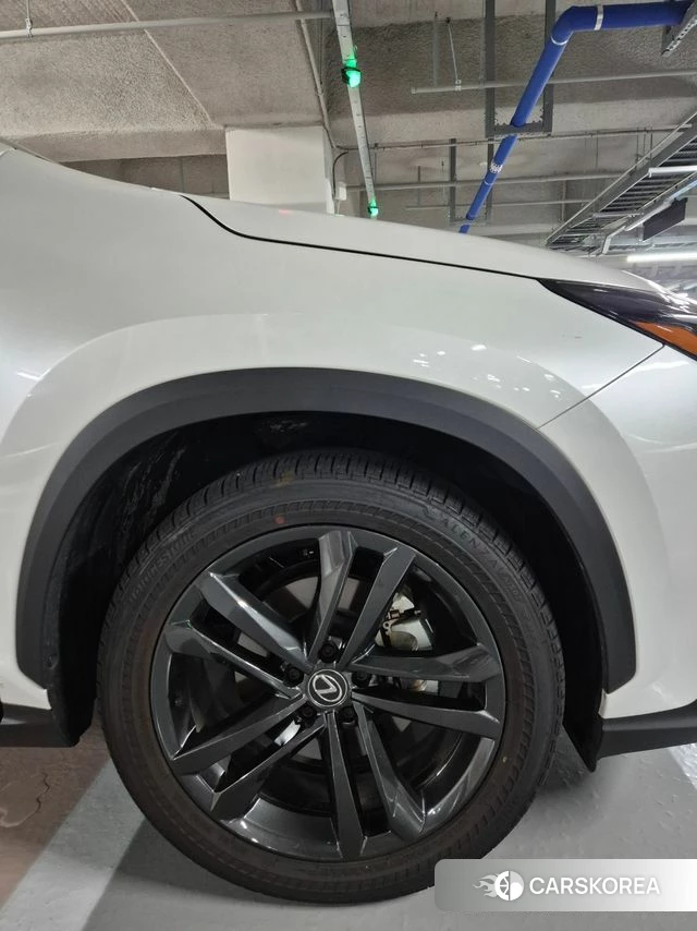 Lexus NX350h Second generation 2025 Белый из Кореи, фото 3