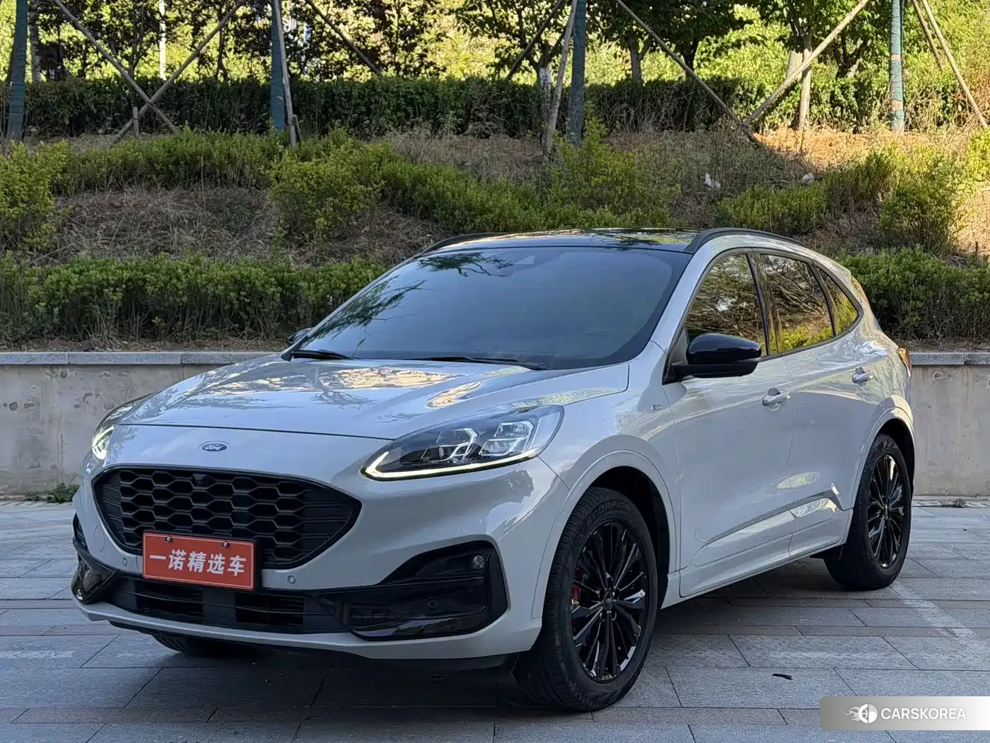 Ford Ruiji 2023 Silver/gray из Китая, фото 3