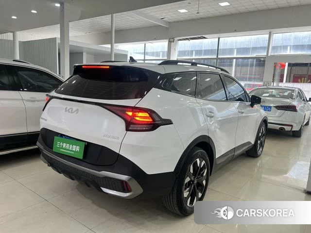 Kia Lion Platinum expands the world 2023 Белый из Китая, фото 3