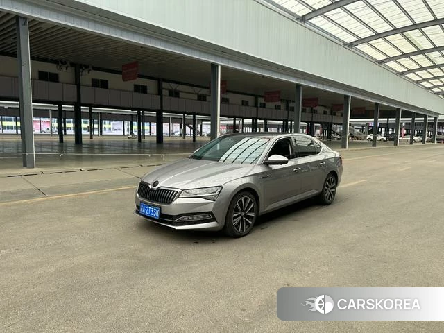 Skoda Speed pie 2022 Темно-серый из Китая, фото 3